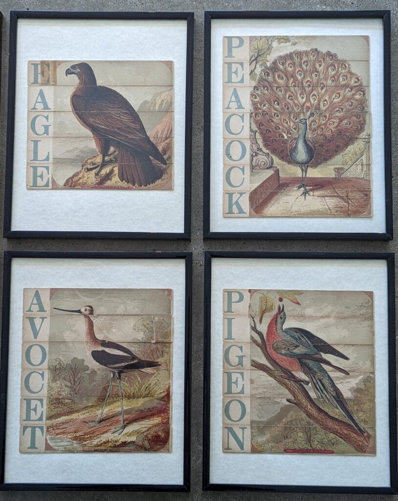 I glued the strips of cardboard to the cardstock and inserted into frames.  Vintage puzzle art.  Eagle, peacock, avocet, pigeon
