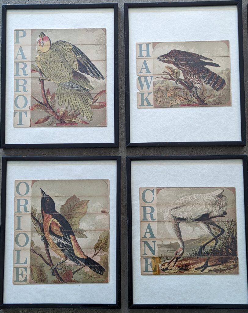 Vintage puzzle art.  Parrot, hawk, oriole, crane