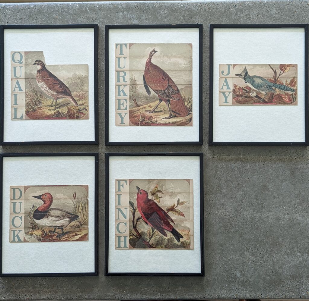 Vintage puzzle art.  Quail, turkey jay, duck, finch